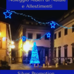 Scopri di più sull'articolo Noleggio e Allestimento Alberi di Natale (da 3 a 6 metri) e Addobbi Natalizi