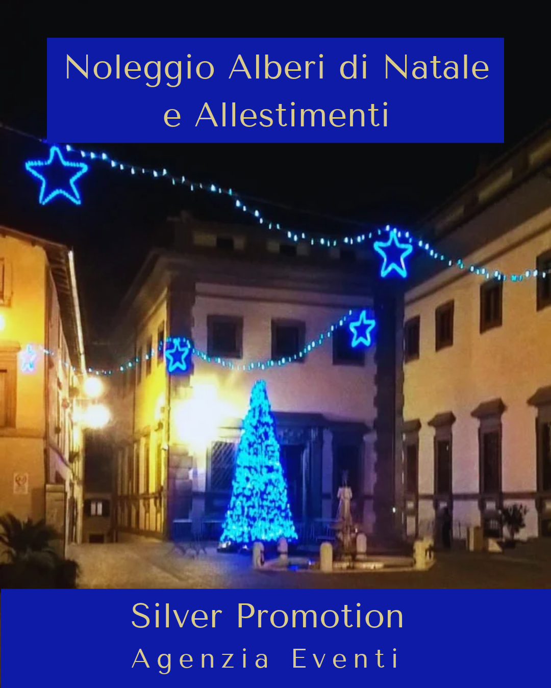 Al momento stai visualizzando Noleggio e Allestimento Alberi di Natale (da 3 a 6 metri) e Addobbi Natalizi
